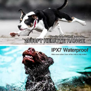 Електрошийник для тренування собак 2 в 1